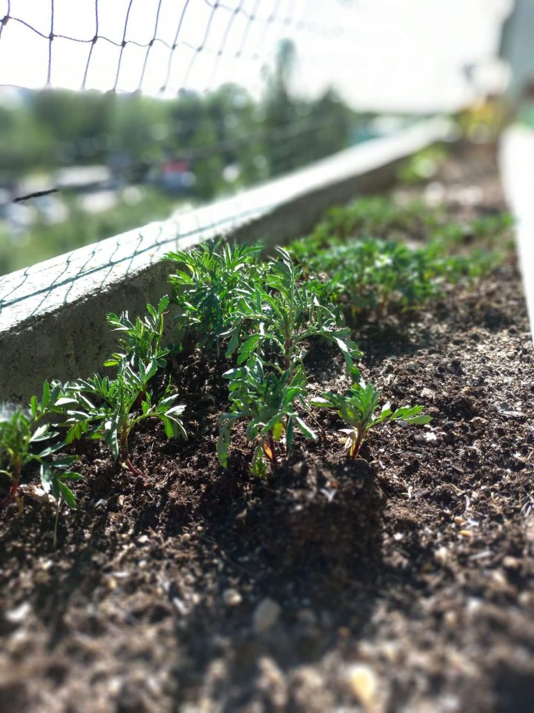 Recenzja ASUS ZenFone 5 - telefonu, który naprawdę wypada dobrze 53 Recenzja ASUS ZenFone 5 - telefonu, który naprawdę wypada dobrze