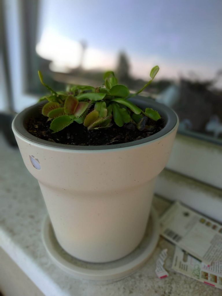 Recenzja ASUS ZenFone 5 - telefonu, który naprawdę wypada dobrze 51 Recenzja ASUS ZenFone 5 - telefonu, który naprawdę wypada dobrze