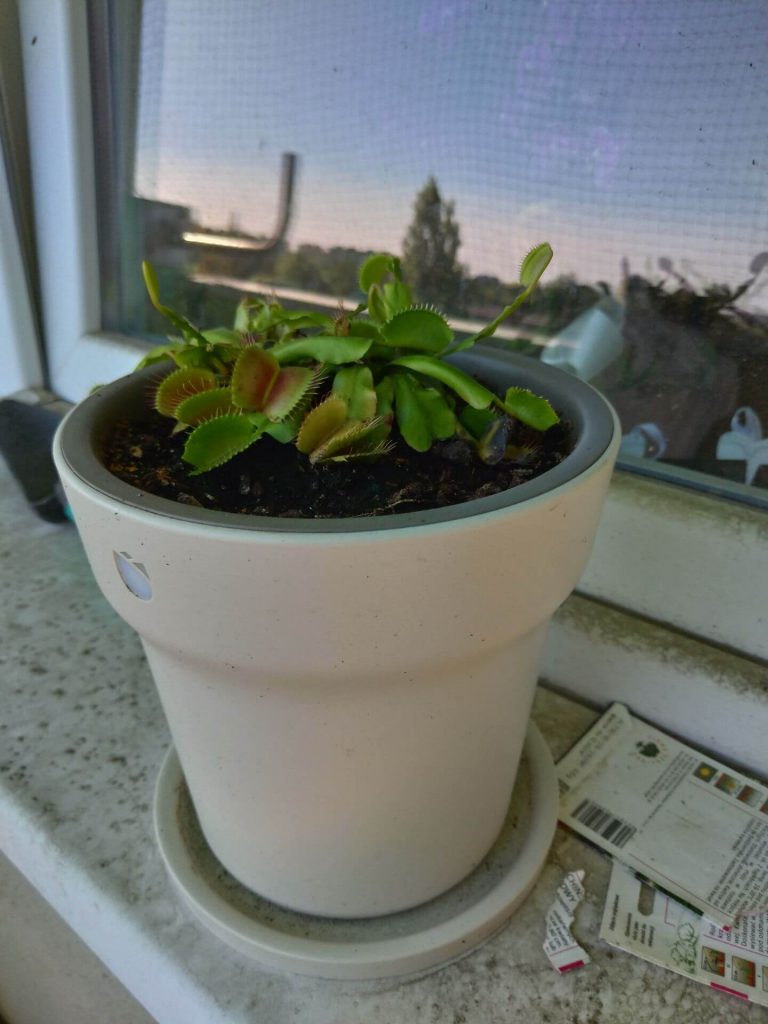 Recenzja ASUS ZenFone 5 - telefonu, który naprawdę wypada dobrze 50 Recenzja ASUS ZenFone 5 - telefonu, który naprawdę wypada dobrze