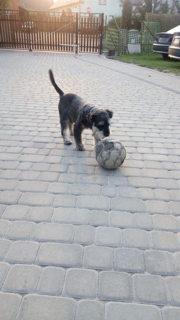 Recenzja Doogee Mix: niedrogiego bezramkowca z Chin 42 Recenzja Doogee Mix: niedrogiego bezramkowca z Chin