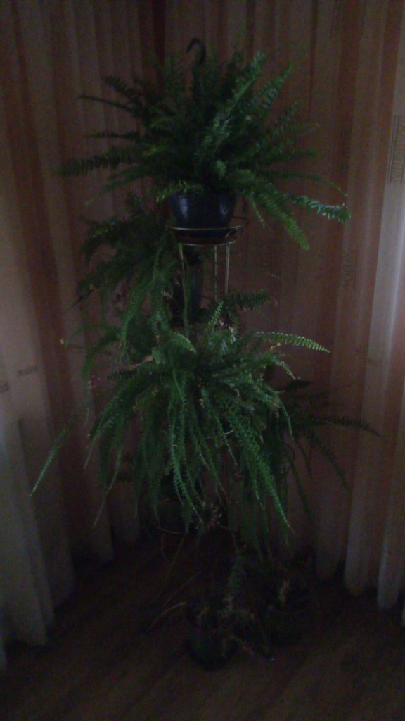 Recenzja Doogee Mix: niedrogiego bezramkowca z Chin 39 Recenzja Doogee Mix: niedrogiego bezramkowca z Chin