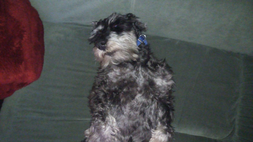 Recenzja Doogee Mix: niedrogiego bezramkowca z Chin 36 Recenzja Doogee Mix: niedrogiego bezramkowca z Chin