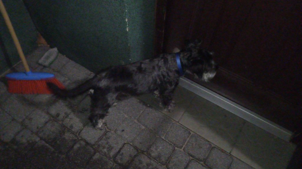 Recenzja Doogee Mix: niedrogiego bezramkowca z Chin 34 Recenzja Doogee Mix: niedrogiego bezramkowca z Chin