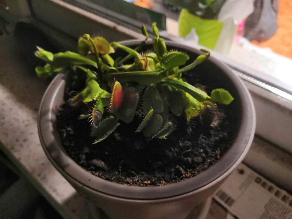 Honor 10 to telefon, który "przyciąga wyglądem i zatrzymuje charakterem" 47 Honor 10 to telefon, który "przyciąga wyglądem i zatrzymuje charakterem"