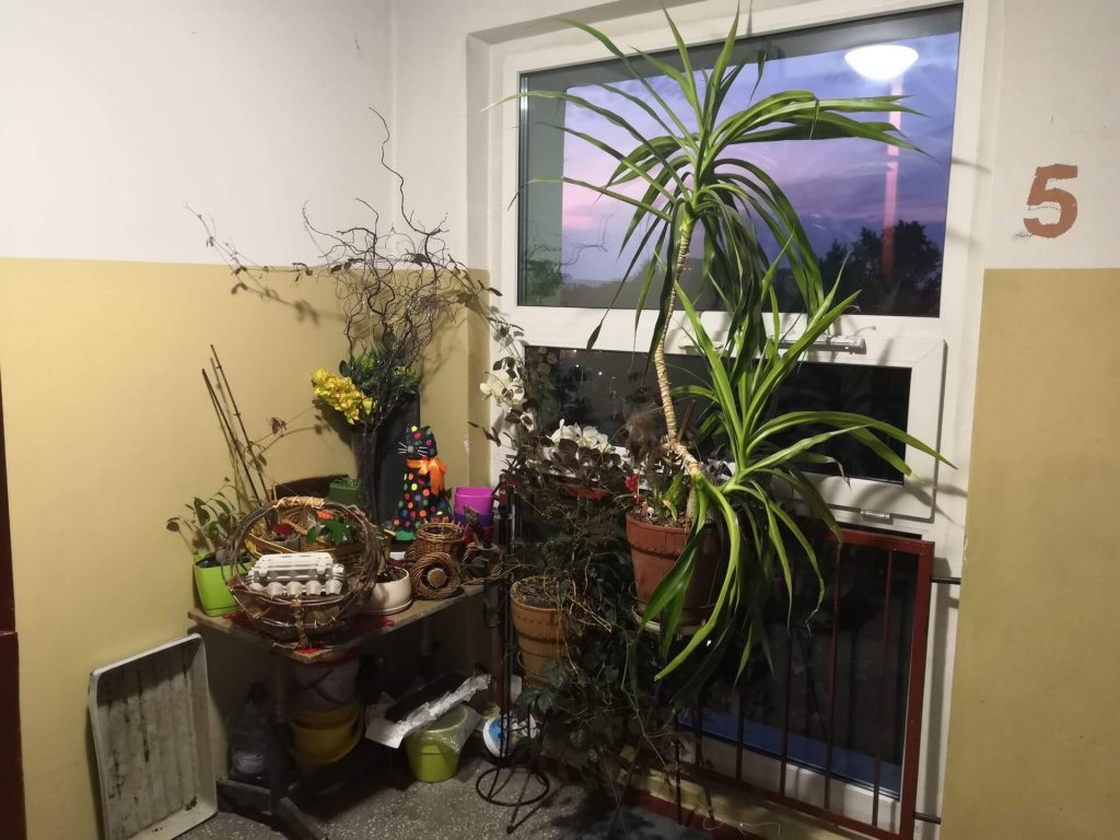 Honor 10 to telefon, który "przyciąga wyglądem i zatrzymuje charakterem" 45 Honor 10 to telefon, który "przyciąga wyglądem i zatrzymuje charakterem"