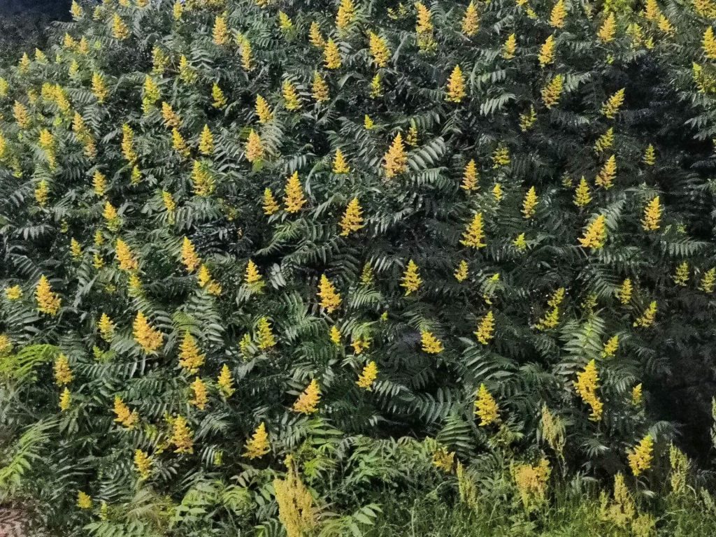 Honor 10 to telefon, który "przyciąga wyglądem i zatrzymuje charakterem" 42 Honor 10 to telefon, który "przyciąga wyglądem i zatrzymuje charakterem"