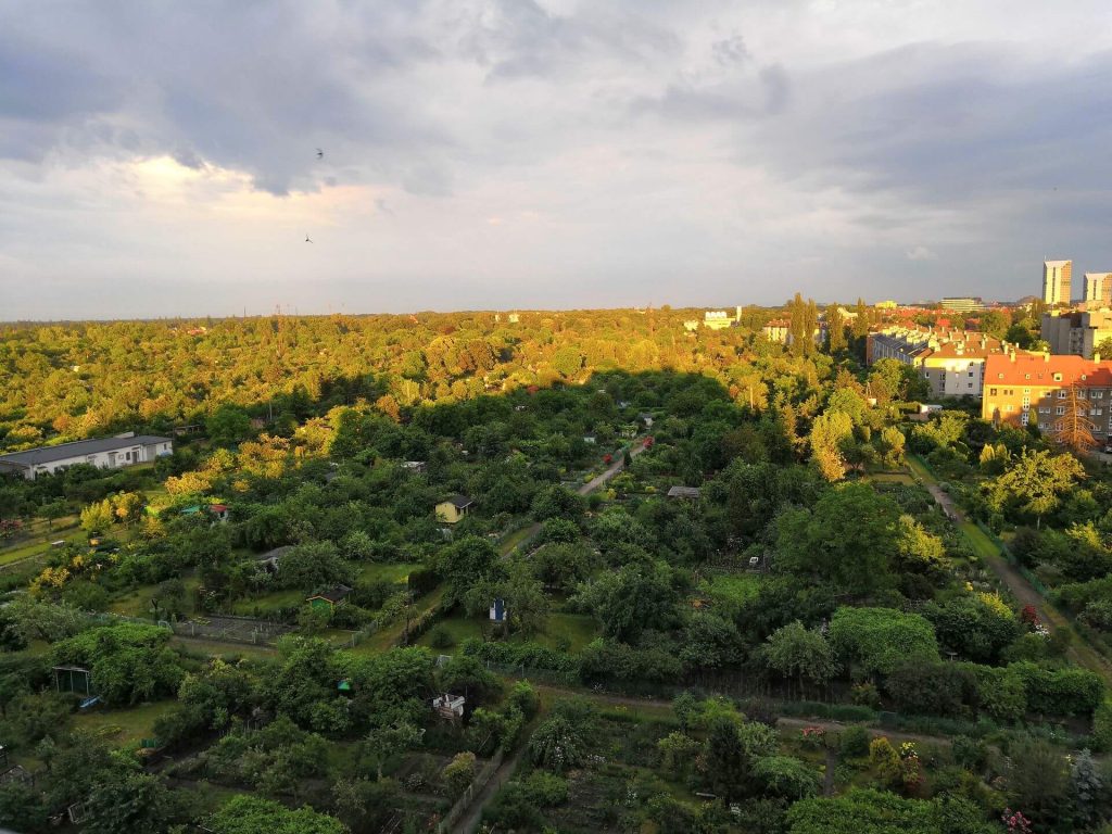 Honor 10 to telefon, który "przyciąga wyglądem i zatrzymuje charakterem" 39 Honor 10 to telefon, który "przyciąga wyglądem i zatrzymuje charakterem"
