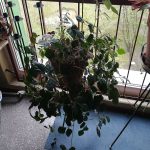 Recenzja Honor 9 - flagowego modelu o świetnym wyglądzie 29 honor-9-zdjęcia-1