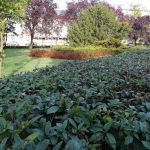 Recenzja Honor 9 - flagowego modelu o świetnym wyglądzie 37 honor-9-zdjęcia-3