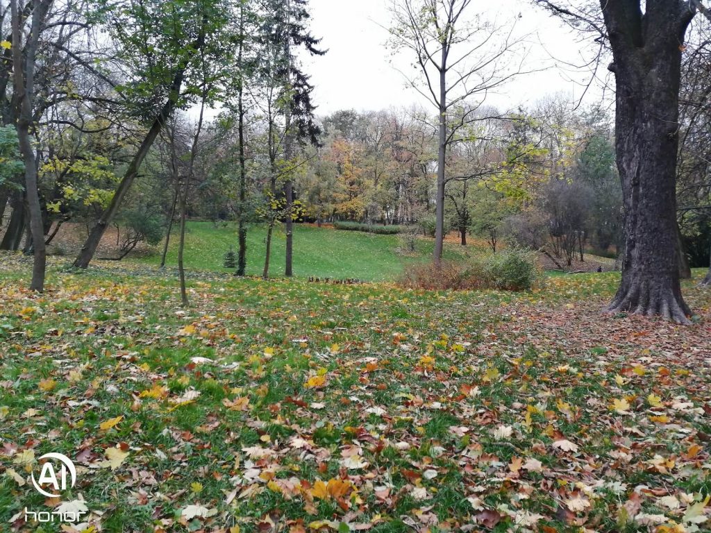 Recenzja Honor 8X, prawie idealnego średniopółkowca, z którym nie chciałem się rozstawać... 31 honor 8x zdjęcie