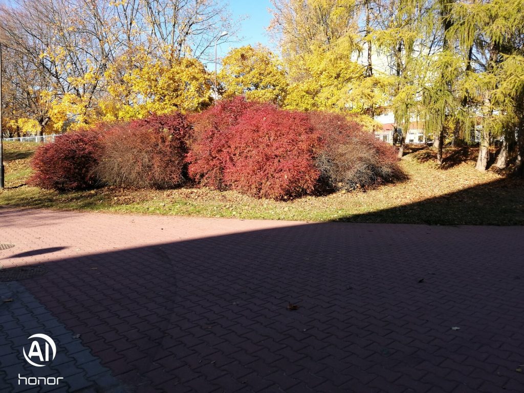 Recenzja Honor 8X, prawie idealnego średniopółkowca, z którym nie chciałem się rozstawać... 33 honor 8x zdjęcie