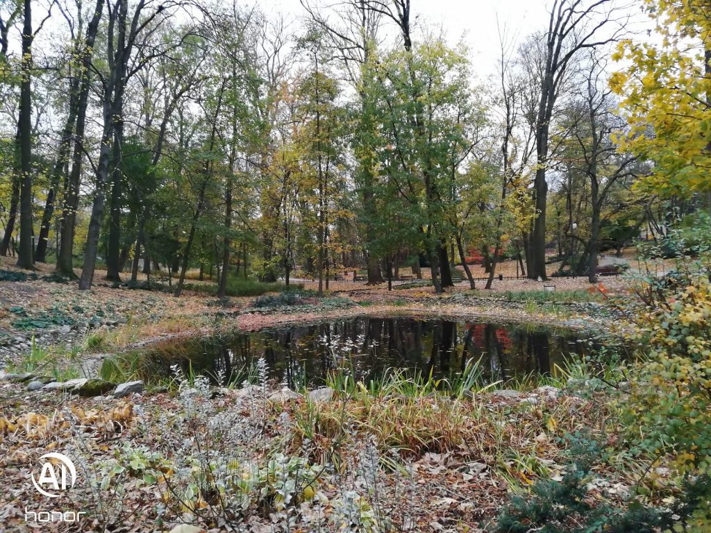 Recenzja Honor 8X, prawie idealnego średniopółkowca, z którym nie chciałem się rozstawać... 36 honor 8x zdjęcie