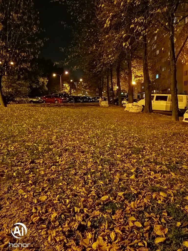 Recenzja Honor 8X, prawie idealnego średniopółkowca, z którym nie chciałem się rozstawać... 38 honor 8x zdjęcie