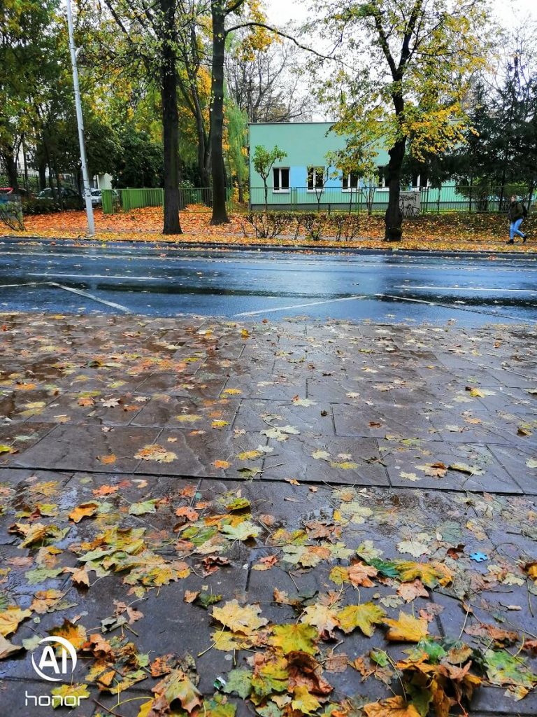 Recenzja Honor 8X, prawie idealnego średniopółkowca, z którym nie chciałem się rozstawać... 27 honor 8x zdjęcie