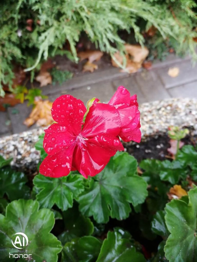 Recenzja Honor 8X, prawie idealnego średniopółkowca, z którym nie chciałem się rozstawać... 29 honor 8x zdjęcie