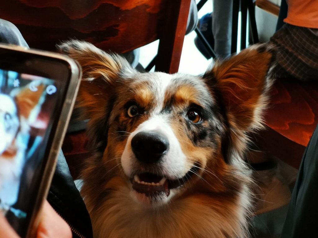 Huawei Mate 20 Pro - pierwsze wrażenia po tygodniu 22 huawei mate 20 pro