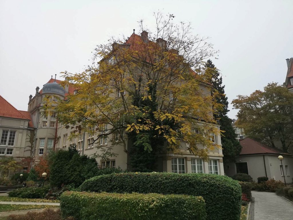 Huawei Mate 20 Pro - pierwsze wrażenia po tygodniu 23 huawei mate 20 pro