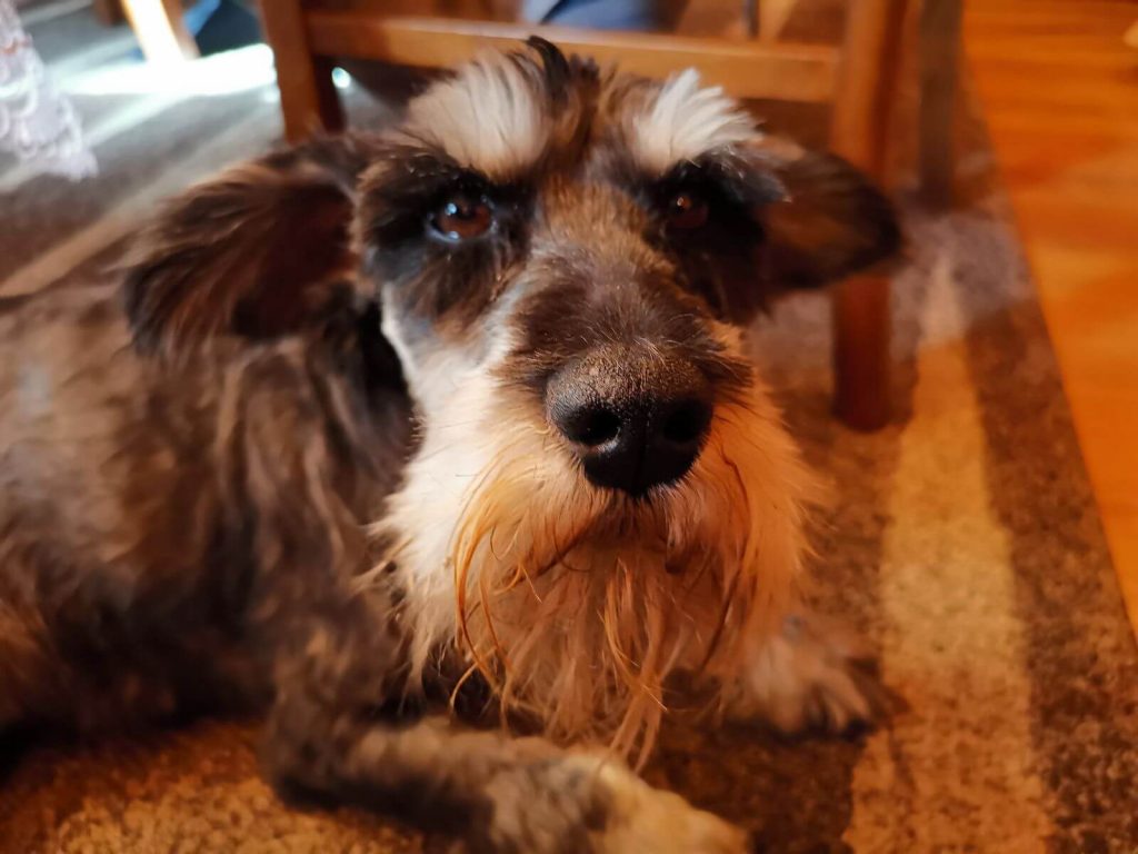 Huawei Mate 20 Pro - pierwsze wrażenia po tygodniu 21 huawei mate 20 pro