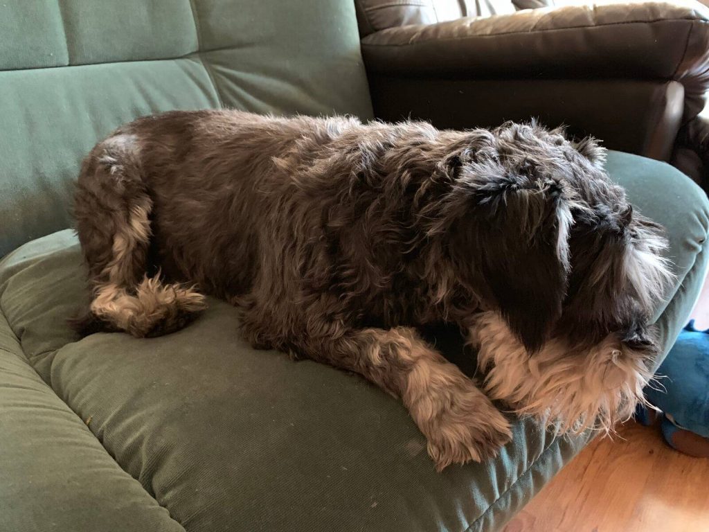 iPhone XS w rękach fana chińskiej elektroniki. Pierwsze spotkanie ze sprzętem Apple! 27 iPhone XS w rękach fana chińskiej elektroniki. Pierwsze spotkanie ze sprzętem Apple!