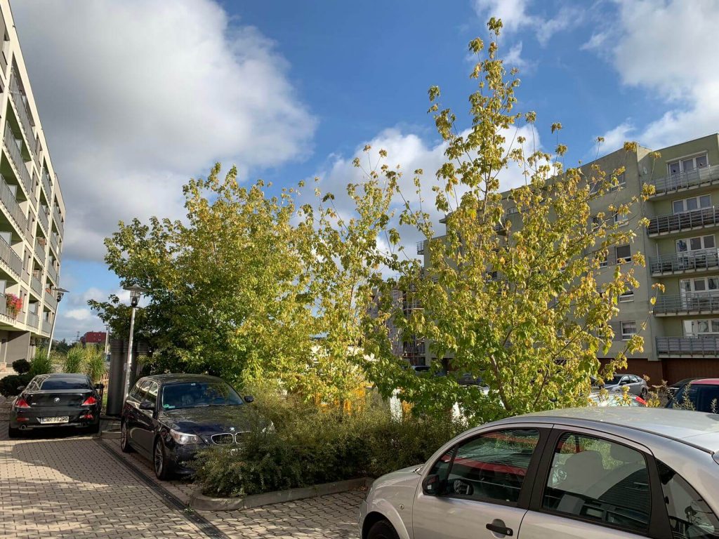 iPhone XS w rękach fana chińskiej elektroniki. Pierwsze spotkanie ze sprzętem Apple! 30 iPhone XS w rękach fana chińskiej elektroniki. Pierwsze spotkanie ze sprzętem Apple!