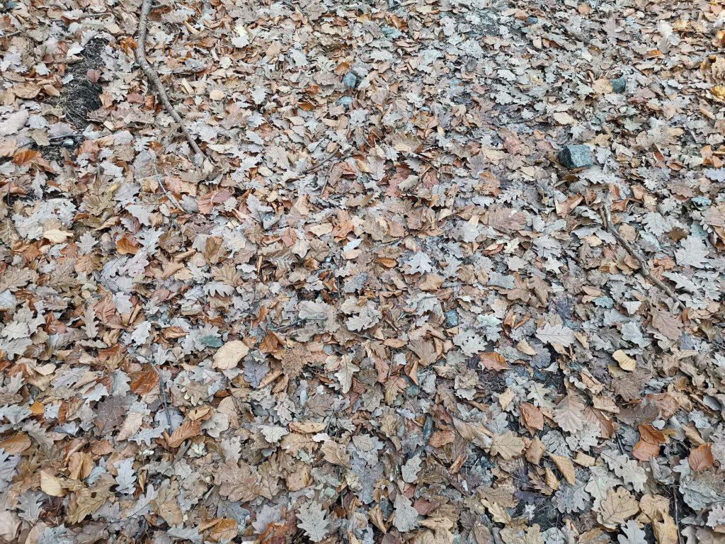 Huawei Mate 20 Pro vs Huawei P20 Pro. Pojedynek gigantów #1 37 Huawei Mate 20 Pro vs Huawei P20 Pro. Pojedynek gigantów #1