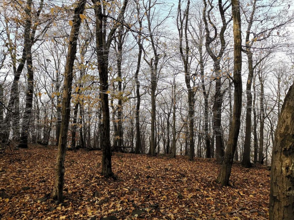 Huawei Mate 20 Pro vs Huawei P20 Pro. Pojedynek gigantów #1 33 Huawei Mate 20 Pro vs Huawei P20 Pro. Pojedynek gigantów #1