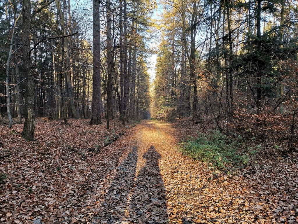 Huawei Mate 20 Pro vs Huawei P20 Pro. Pojedynek gigantów #1 30 Huawei Mate 20 Pro vs Huawei P20 Pro. Pojedynek gigantów #1