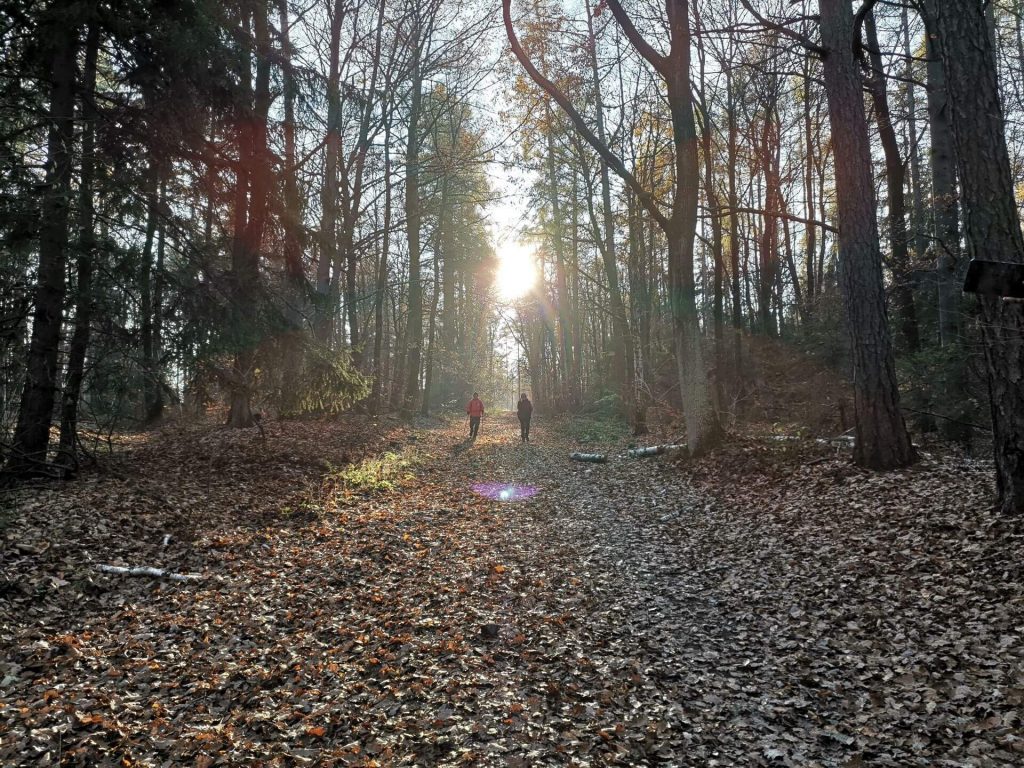 Huawei Mate 20 Pro vs Huawei P20 Pro. Pojedynek gigantów #1 29 Huawei Mate 20 Pro vs Huawei P20 Pro. Pojedynek gigantów #1