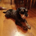 Recenzja Meizu Pro 7 Plus – dwa ekrany to naprawdę ciekawa koncepcja 30 meizu pro 7 plus (20)