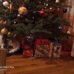 Recenzja Meizu Pro 7 Plus – dwa ekrany to naprawdę ciekawa koncepcja 34 meizu pro 7 plus (24)