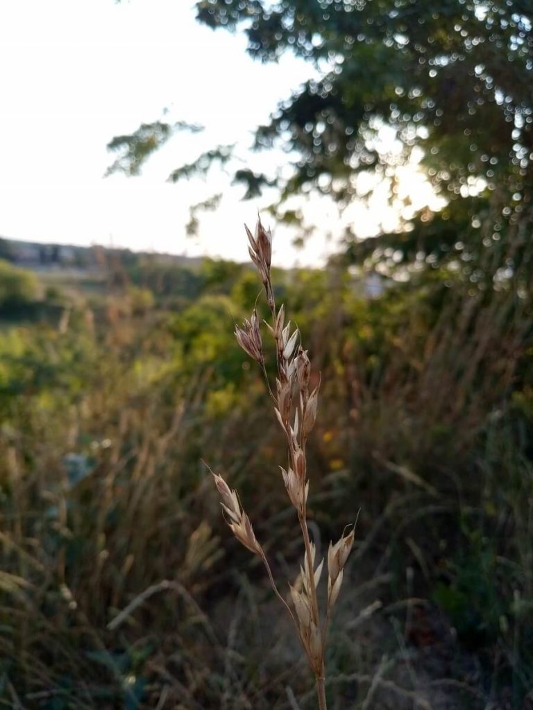 Recenzja konkurenta dla Xiaomi Redmi 5A - przed wami Meizu M6! 23 meizu m6 zdjęcie