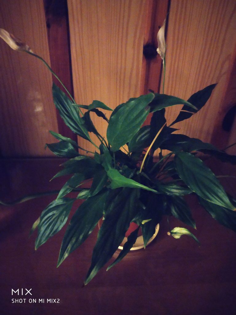 Recenzja Xiaomi Mi MIX 2S - delikatnej ewolucji Mi MIX 2 44 xiaomi mi mix 2 zdjęcie