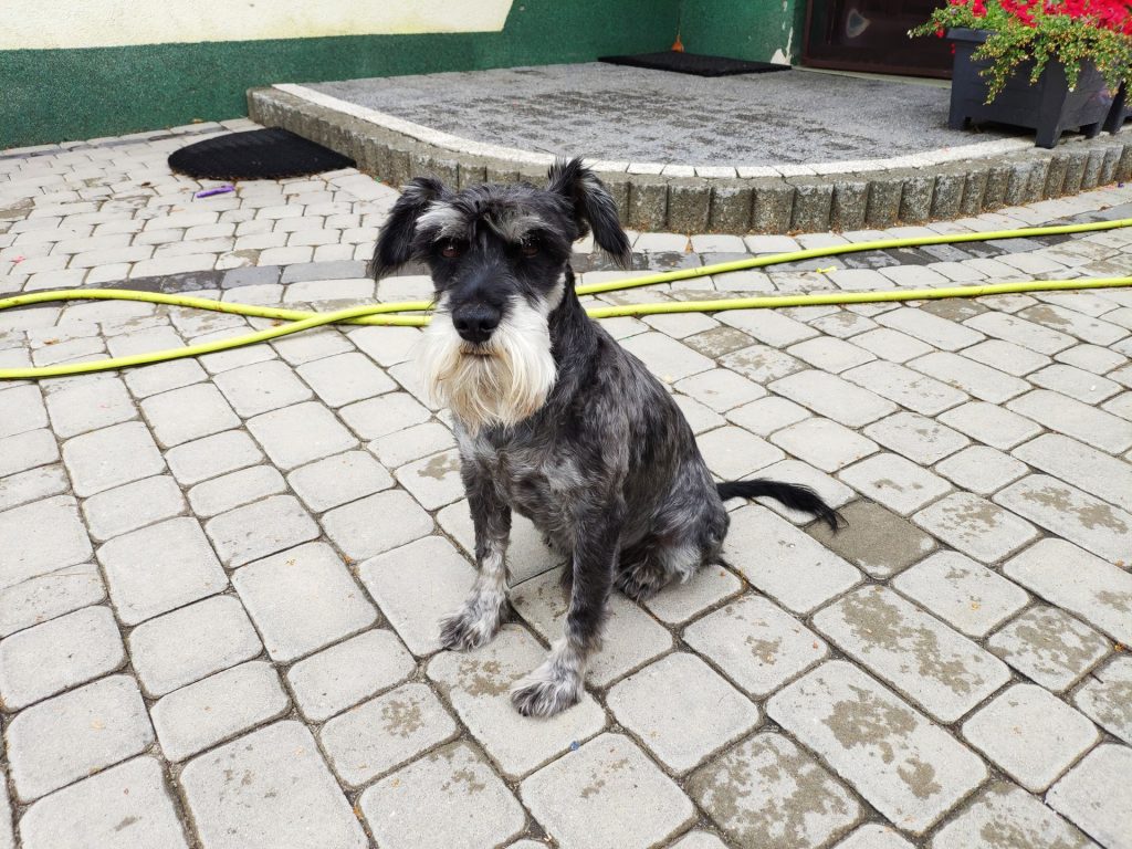 Recenzja Xiaomi Mi MIX 2S - delikatnej ewolucji Mi MIX 2 38 xiaomi mi mix 2s zdjęcie