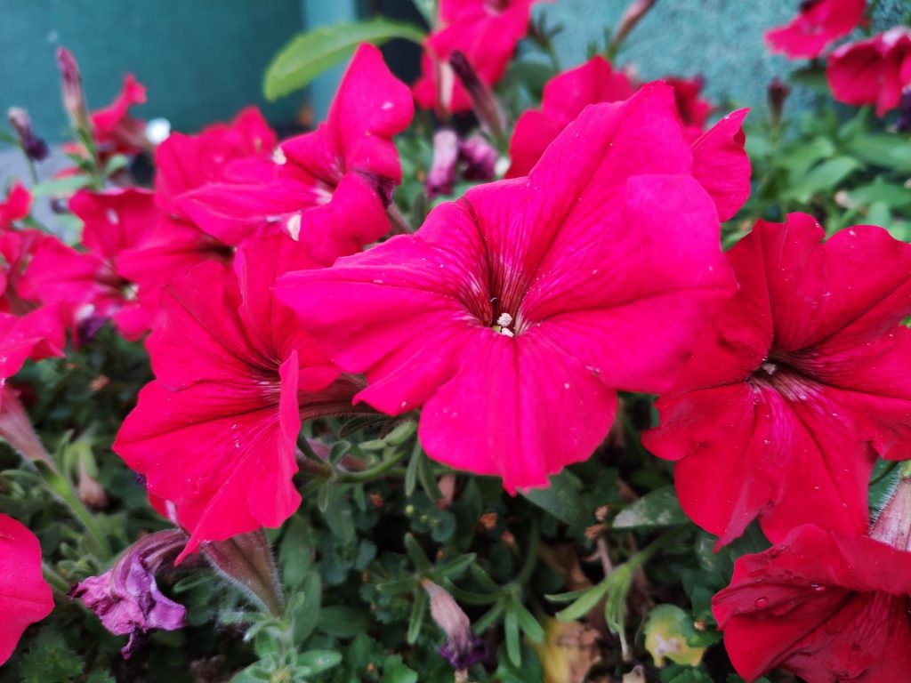 Recenzja Xiaomi Mi MIX 2S - delikatnej ewolucji Mi MIX 2 39 Recenzja Xiaomi Mi MIX 2S - delikatnej ewolucji Mi MIX 2