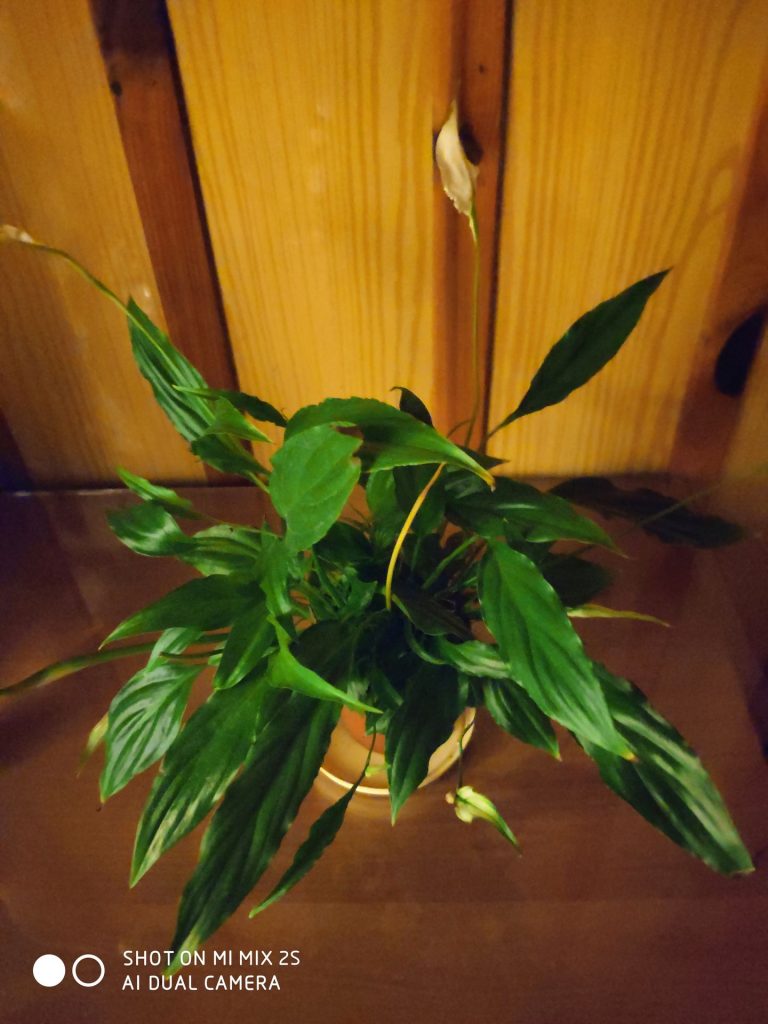 Recenzja Xiaomi Mi MIX 2S - delikatnej ewolucji Mi MIX 2 43 xiaomi mi mix 2s zdjęcie