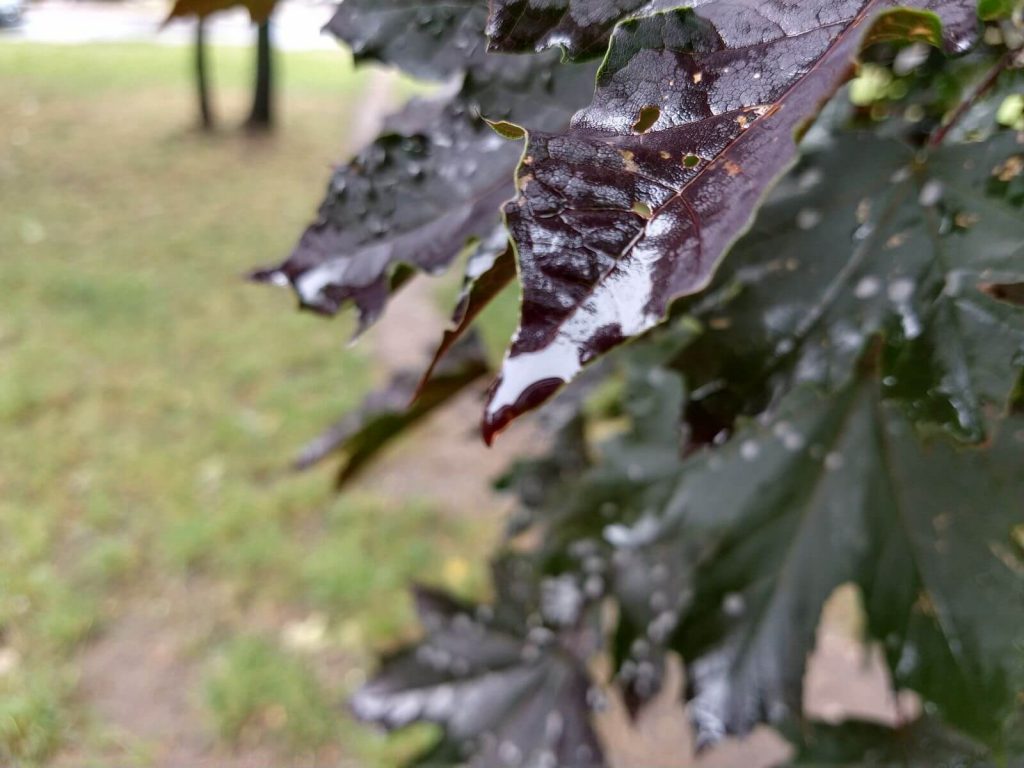 Recenzja Moto G6 Plus. Ten telefon zaskoczył mnie pozytywnie 30 Recenzja Moto G6 Plus. Ten telefon zaskoczył mnie pozytywnie