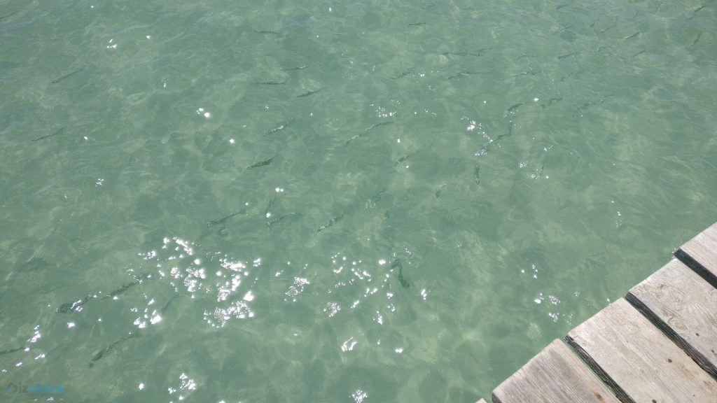 OnePlus 3T - recenzja prawdziwego flagowca ubiegłego roku 28 OnePlus 3T - recenzja prawdziwego flagowca ubiegłego roku