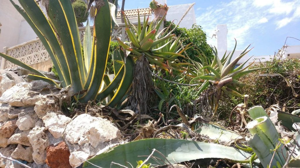 OnePlus 3T - recenzja prawdziwego flagowca ubiegłego roku 32 OnePlus 3T - recenzja prawdziwego flagowca ubiegłego roku