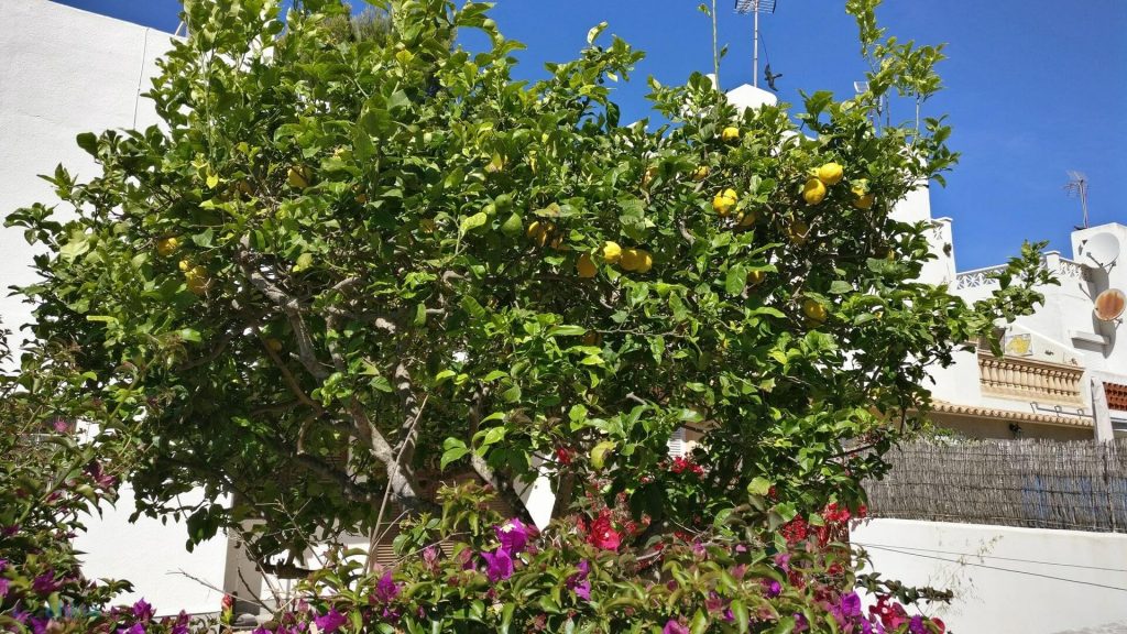 OnePlus 3T - recenzja prawdziwego flagowca ubiegłego roku 33 OnePlus 3T - recenzja prawdziwego flagowca ubiegłego roku