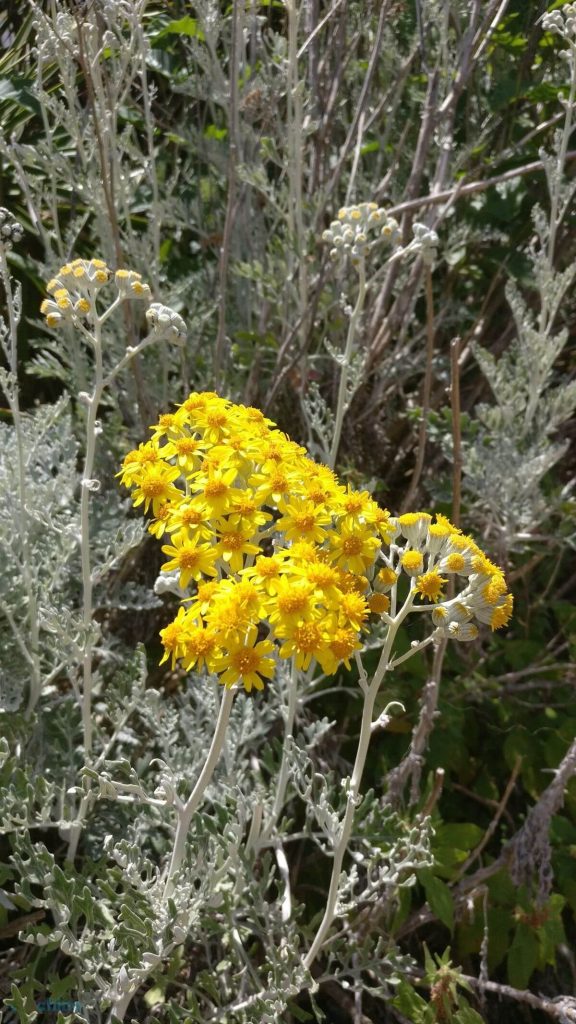 OnePlus 3T - recenzja prawdziwego flagowca ubiegłego roku 39 OnePlus 3T - recenzja prawdziwego flagowca ubiegłego roku