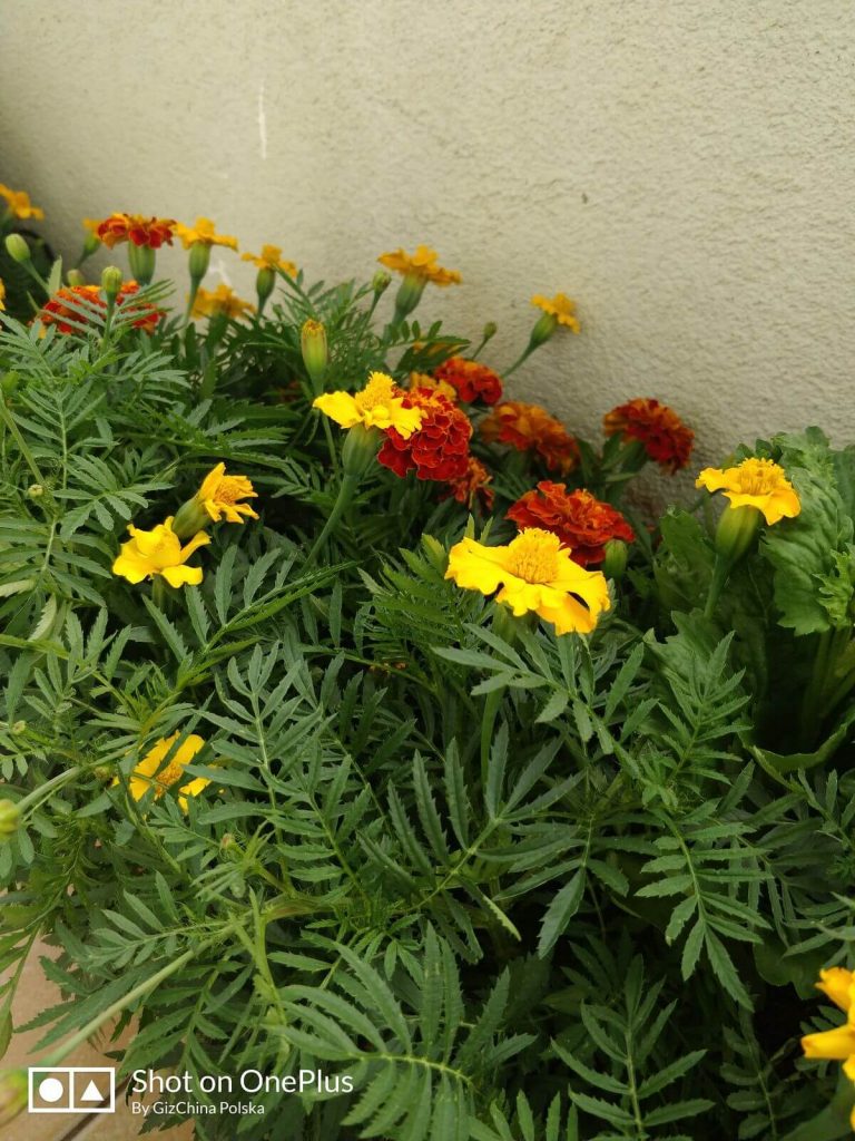 Recenzja OnePlus 5 - flagowca, któremu do zabójcy daleko 35 Recenzja OnePlus 5 - flagowca, któremu do zabójcy daleko