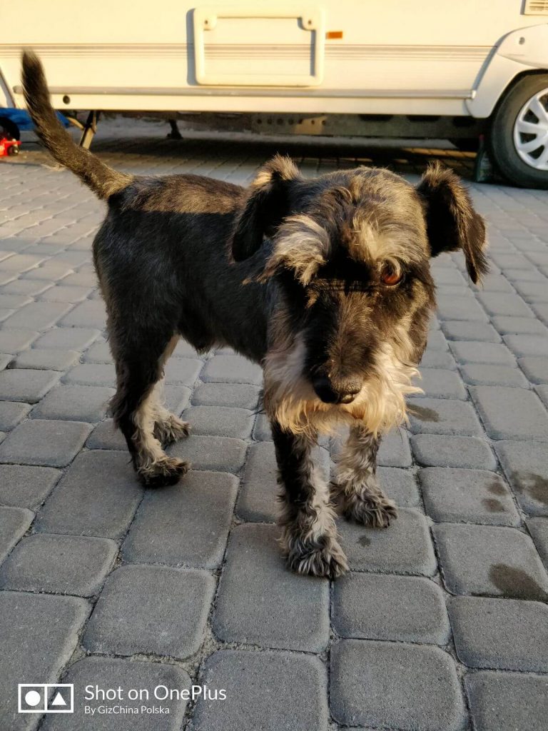 Recenzja OnePlus 5 - flagowca, któremu do zabójcy daleko 45 Recenzja OnePlus 5 - flagowca, któremu do zabójcy daleko