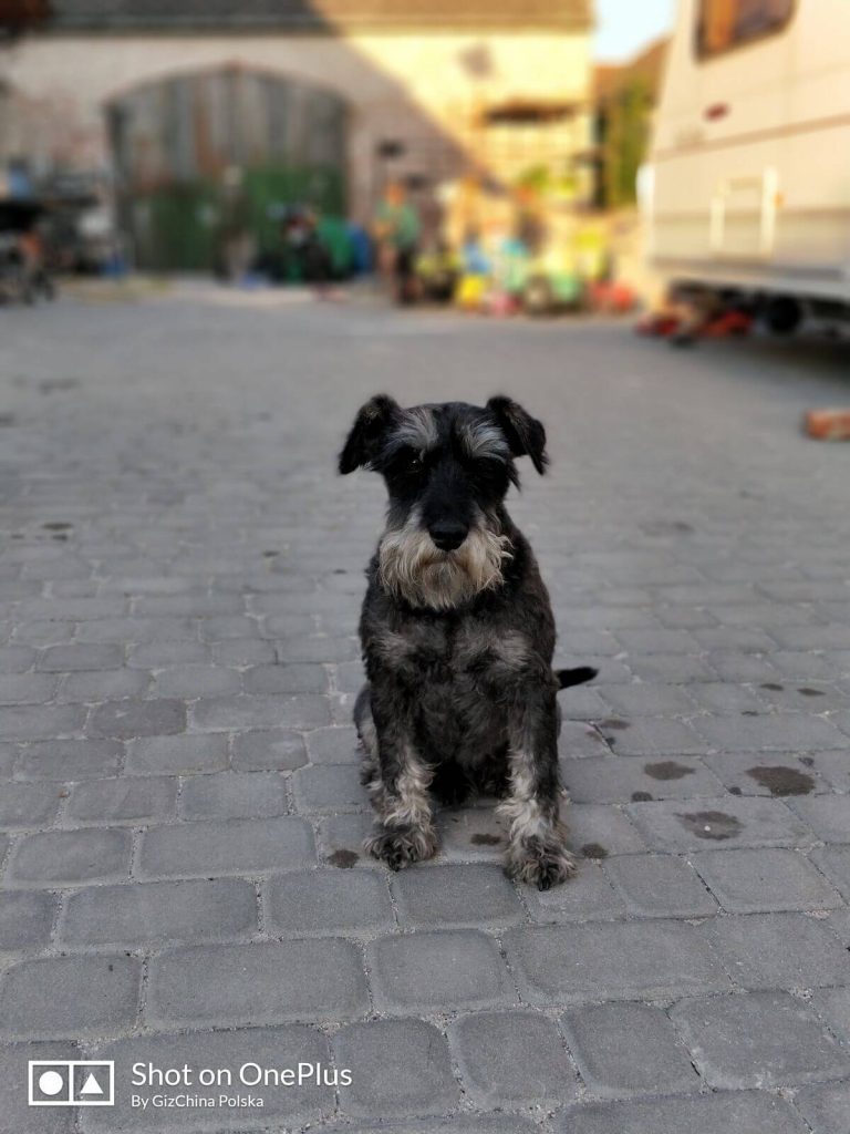 Recenzja OnePlus 5 - flagowca, któremu do zabójcy daleko 46 Recenzja OnePlus 5 - flagowca, któremu do zabójcy daleko