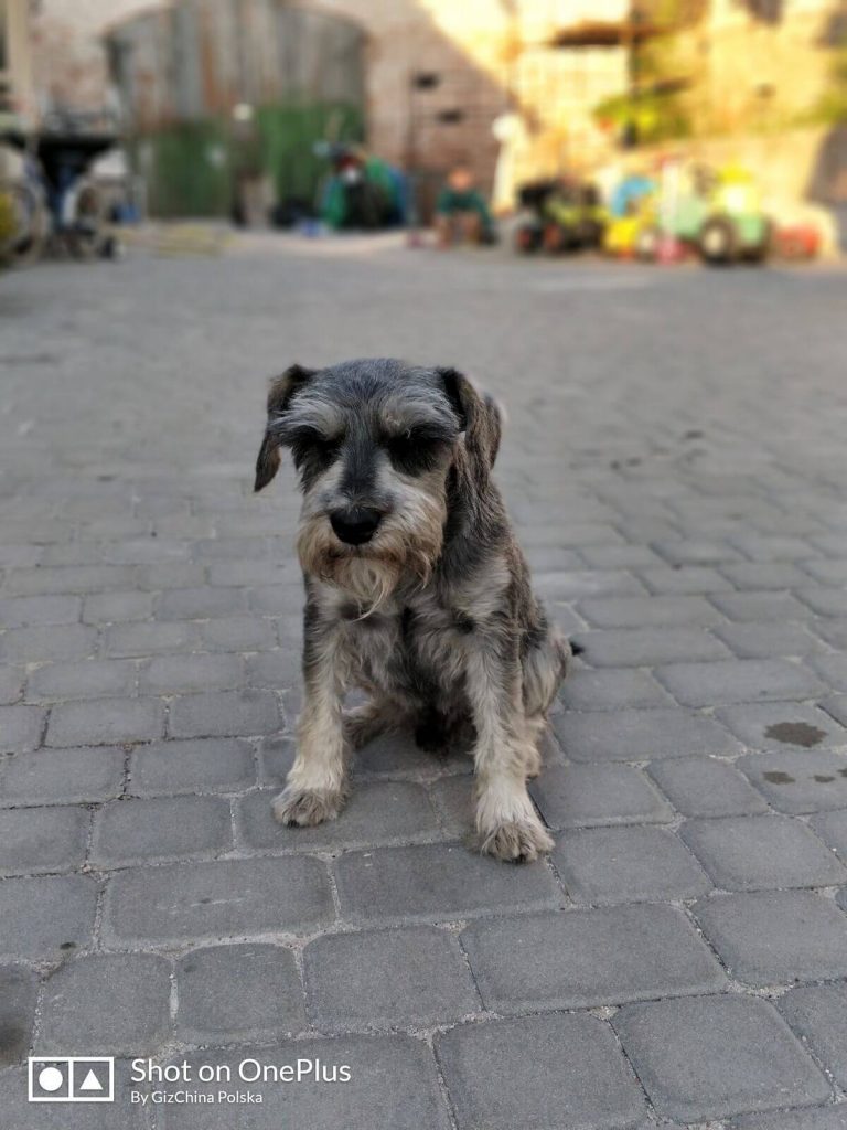 Recenzja OnePlus 5 - flagowca, któremu do zabójcy daleko 47 Recenzja OnePlus 5 - flagowca, któremu do zabójcy daleko