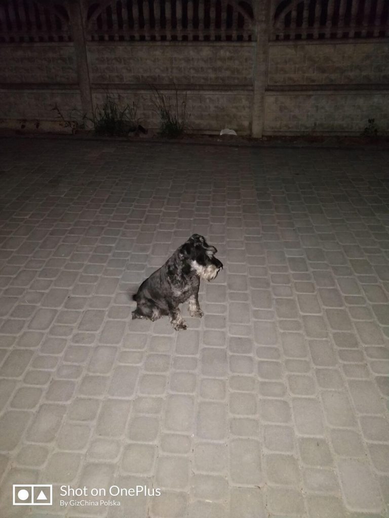 Recenzja OnePlus 5 - flagowca, któremu do zabójcy daleko 49 Recenzja OnePlus 5 - flagowca, któremu do zabójcy daleko