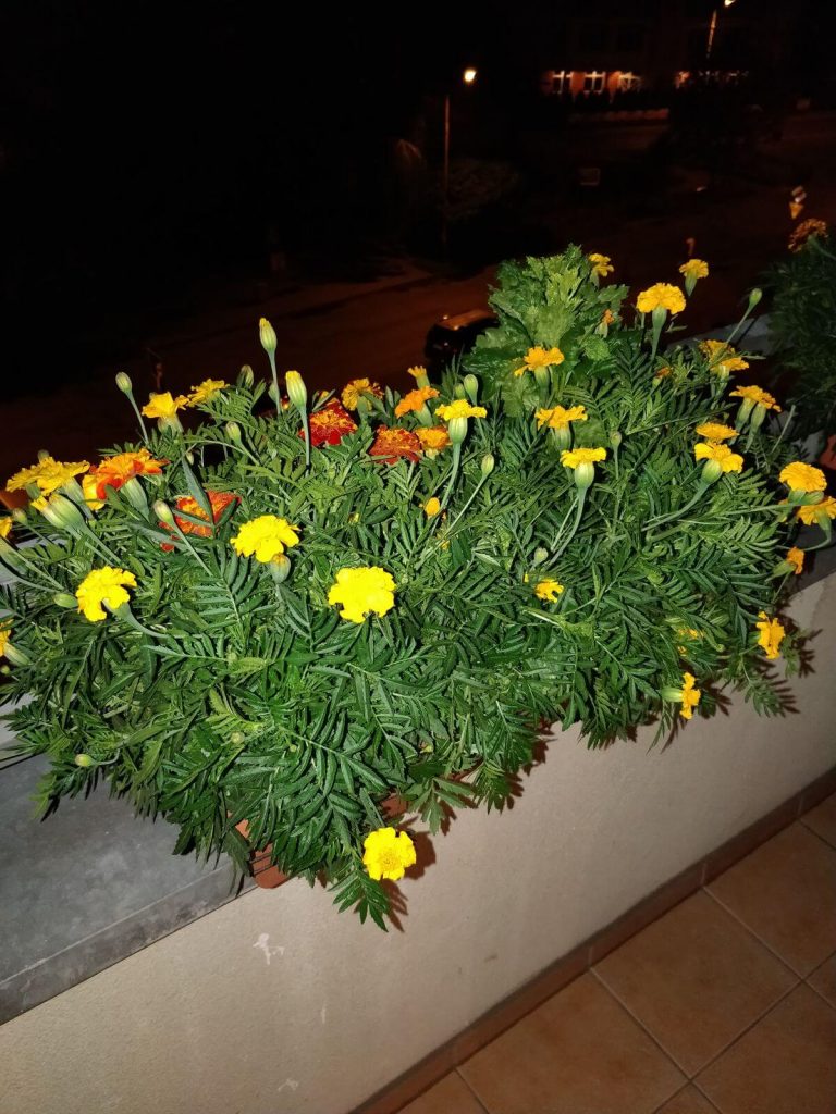 Recenzja OnePlus 5 - flagowca, któremu do zabójcy daleko 53 Recenzja OnePlus 5 - flagowca, któremu do zabójcy daleko