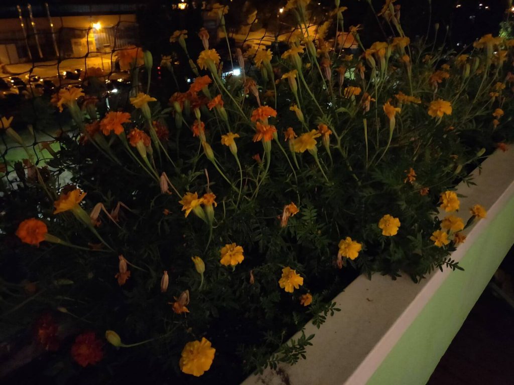 Recenzja OnePlus 6. Temu telefonowi w czerwieni do twarzy 28 Recenzja OnePlus 6. Temu telefonowi w czerwieni do twarzy