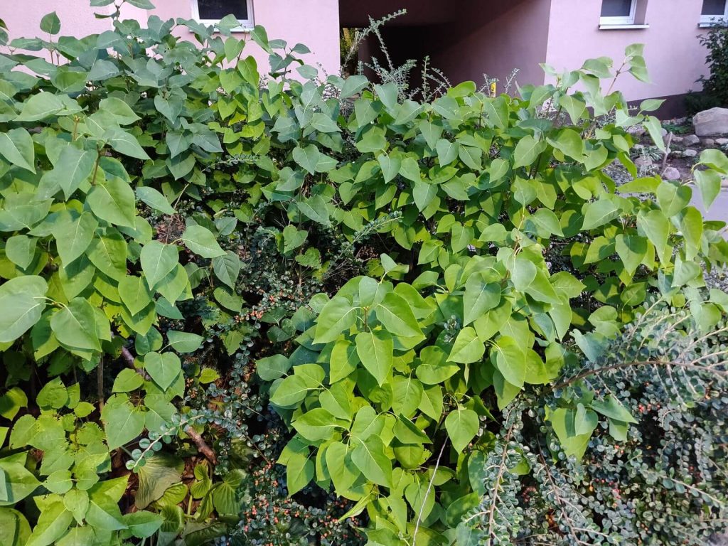 Recenzja OnePlus 6. Temu telefonowi w czerwieni do twarzy 29 Recenzja OnePlus 6. Temu telefonowi w czerwieni do twarzy