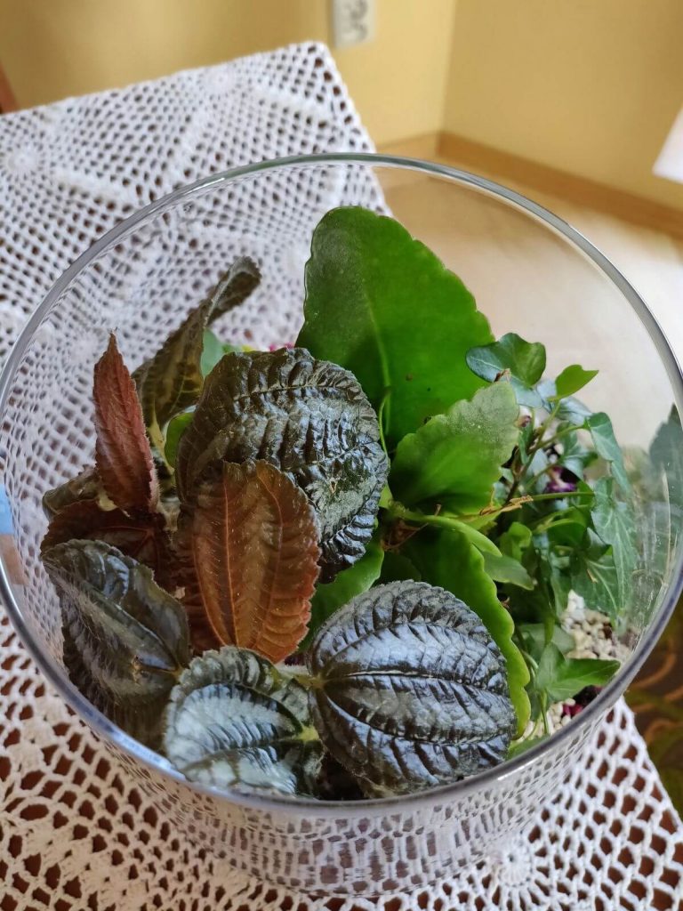 Recenzja OnePlus 6. Temu telefonowi w czerwieni do twarzy 34 Recenzja OnePlus 6. Temu telefonowi w czerwieni do twarzy