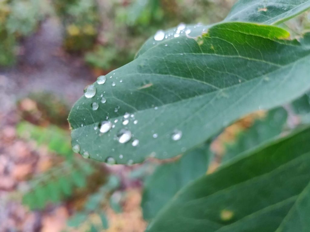 OnePlus 6T jest tylko ewolucją. I to bardzo delikatną... 27 oneplus 6t foto